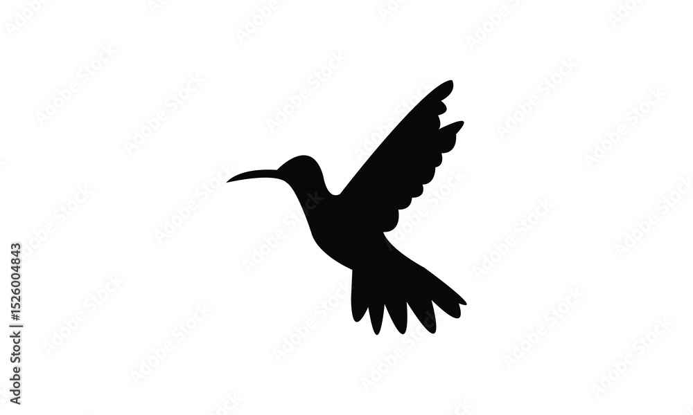 Obraz premium Flying Amazilia hummingbird Silhouette Design And Vector Illustration. 