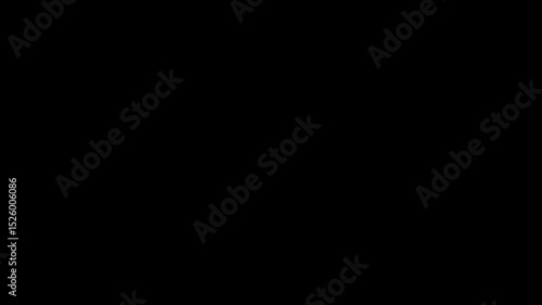 Bold Animated Live Streaming Text on Black: Typography Motion Graphics video media title online