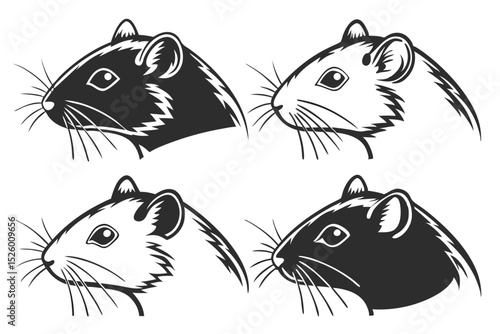 set of funny animals