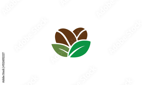 coffee bean plant