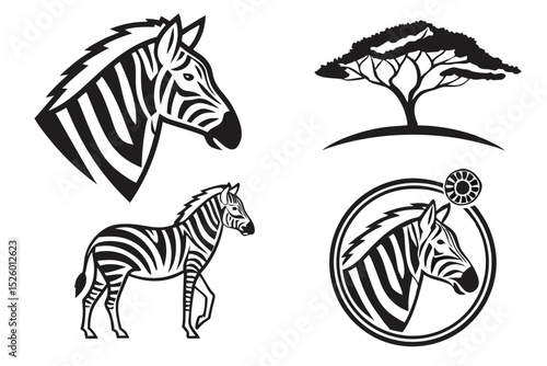 zebra