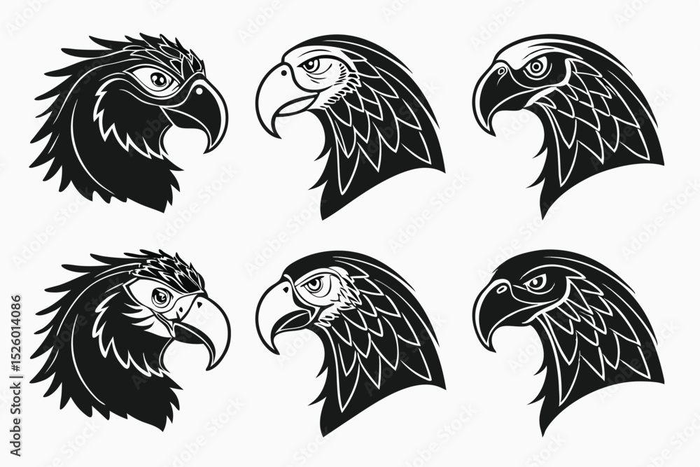 Obraz premium set of eagle