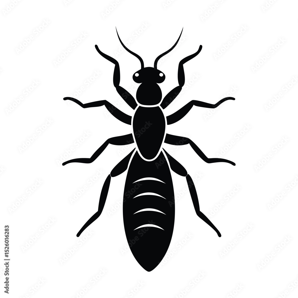 black termite isolated on white background black termite isolated on white background