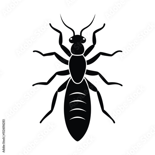 black termite isolated on white background