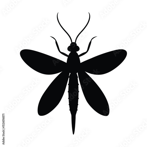mayfly silhouette black on transparent background