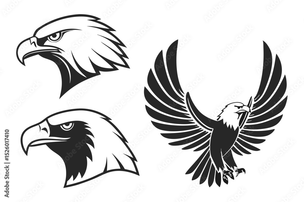 Fototapeta premium set of birds