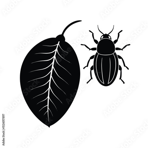 leaf beetle flea black on transparent background