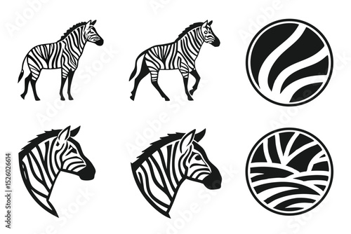 zebra
