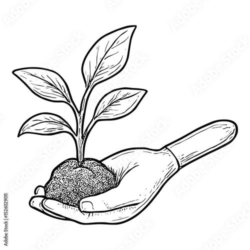 Seedling in Hand
