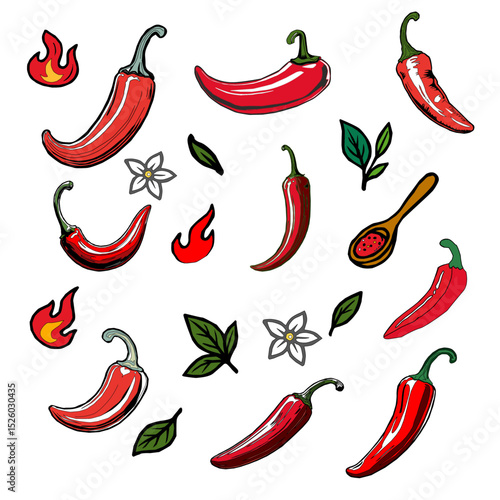 hot chili pepper. Red chili pepper hand drawn illustration. Vibrant red chili pepper illustration. Hand drawn red chili pepper. Red chili pepper doodle