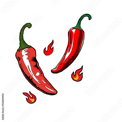 hot chili pepper. Red chili pepper hand drawn illustration. Vibrant red chili pepper illustration. Hand drawn red chili pepper. Red chili pepper doodle