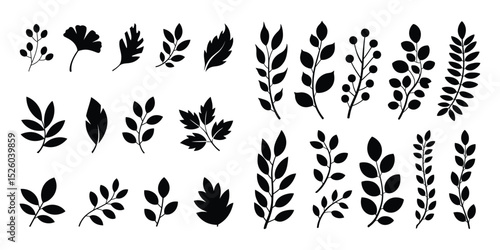 A Diverse Collection of Elegant Black and White Foliage and Floral Designs