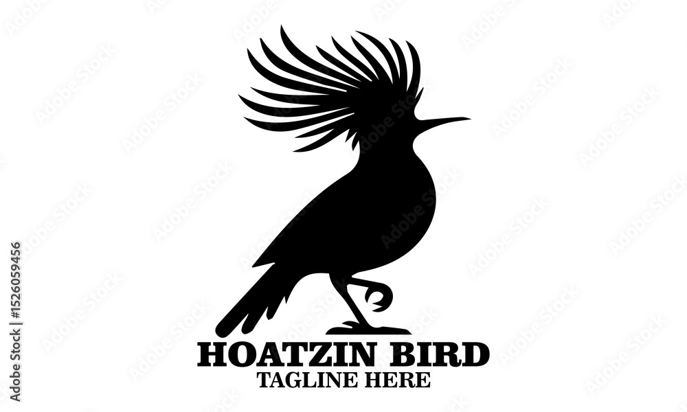 Fototapeta premium Hoatzin bird icon. hoatzin bird silhouette vector and hoatzin bird logo art with white background