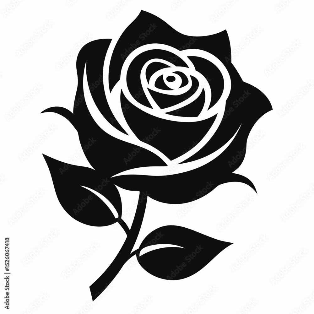 rose vector illustration rose vector illustration