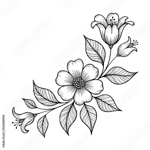 Elegant black floral illustration with detailed leaves and petals