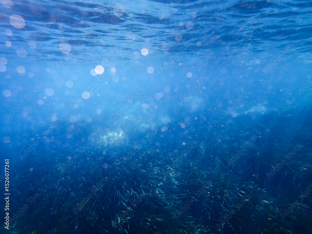 Obraz premium bubbles, bubble, water, underwater, sea, air, deep, undersea, under, background, wave, liquid, clear, clean, ocean, nature, texture, oxygen, blue, white, effect, transparent, foam, aquarium, aqua.
