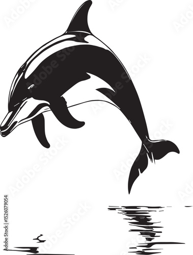 Graceful Dolphin Silhouette with Reflection