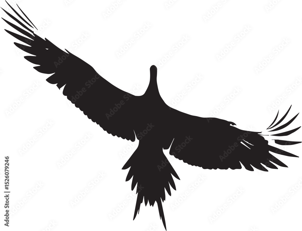 Obraz premium Flying Bird of Prey Silhouette