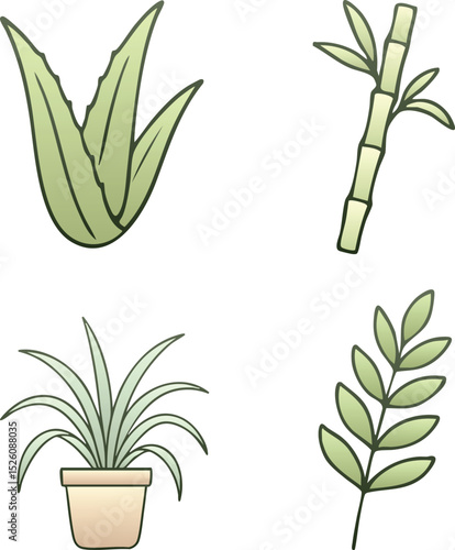 Botanical grass and bamboo icon set