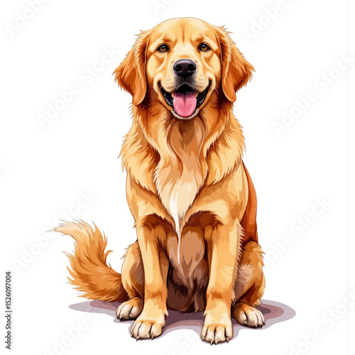 Cheerful golden retriever dog sitting on white background  