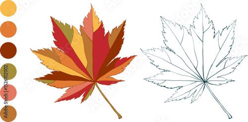 Set of hand-drawn fall colored maple autumn leaves isolated on white background. Flat and line styles vector illustration.