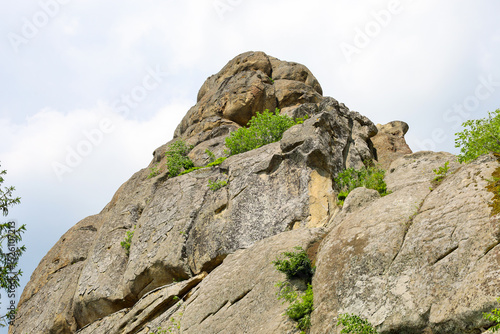Canvas Print Majestic rocks with ledges and cracks, partially covered with green vegetation, testify to the strength and steadfastness of nature