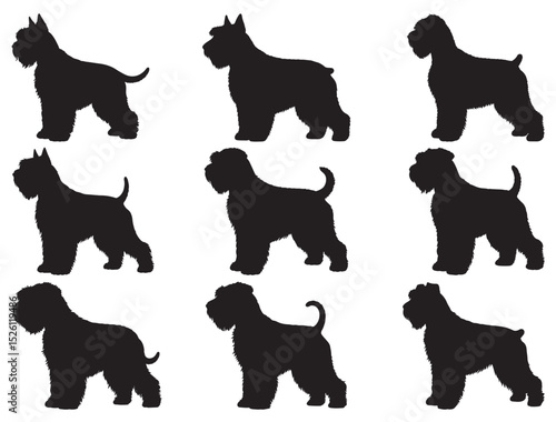 BLACK RUSSIAN TERRIER SILHOUETTE