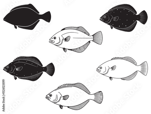 FLOUNDER FISH SILHOUETTE