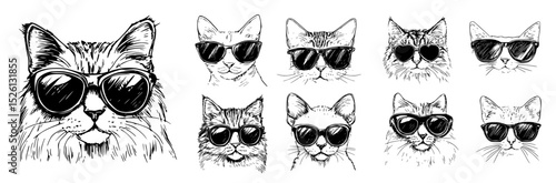 Cool cats wearing sunglasses sketch