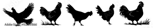 Silhouette collection of chickens and roosters