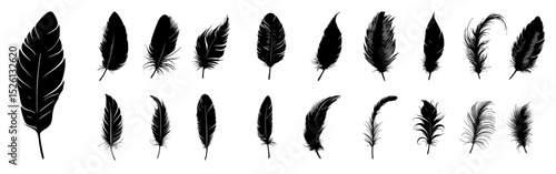 Collection of black feather silhouettes