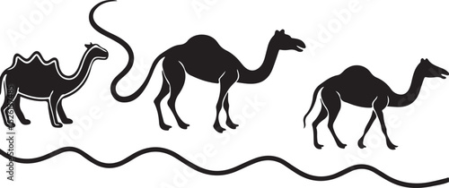 Vector illustration of desert camels, wild mammal silhouettes in the sand dune nature
