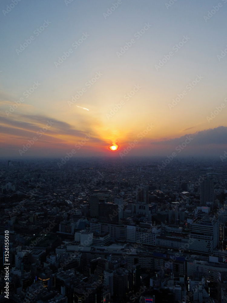 Fototapeta premium 東京の夕方