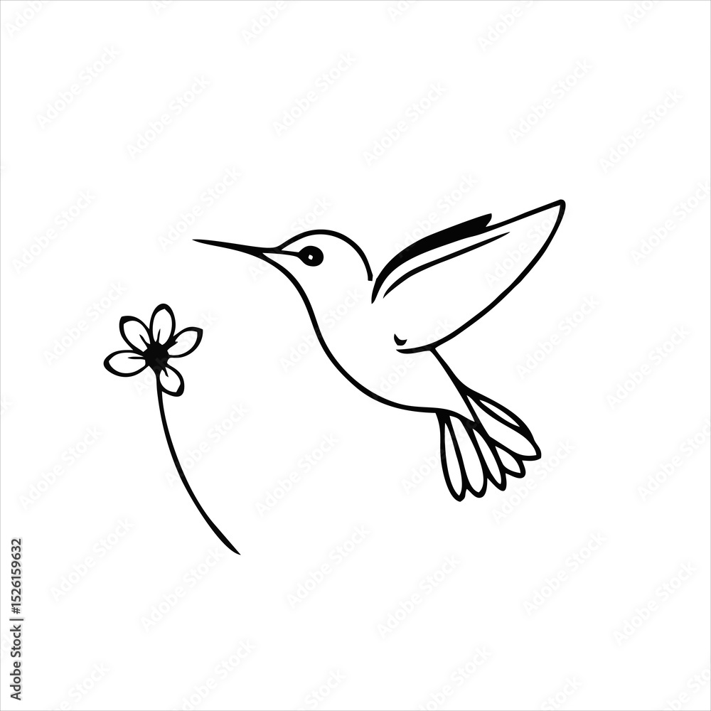Fototapeta premium Hummingbird Hovering Near Flower, Humming Bird Logo, Simple Outline