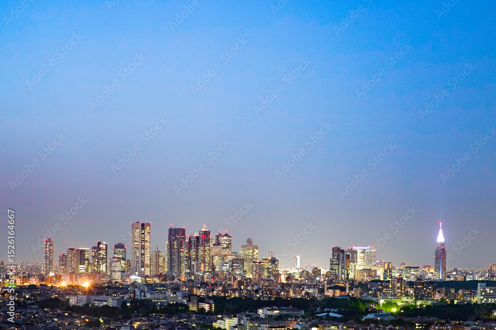 Fototapeta premium 東京・新宿の夕方から夜にかけて
