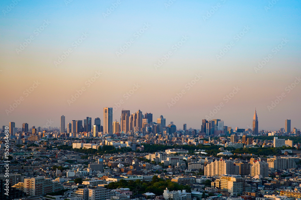 Fototapeta premium 東京・新宿の夕方から夜にかけて