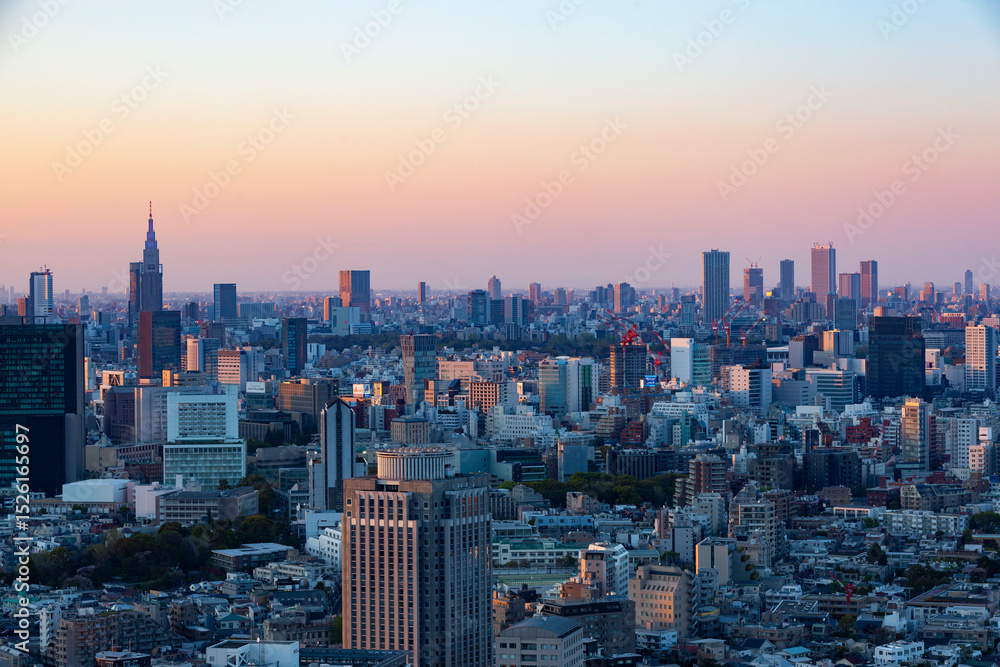 Obraz premium 東京・都市部の夕景