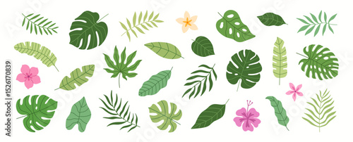 Tropical summer leaves, flowers and plants. Set of palm leaves.