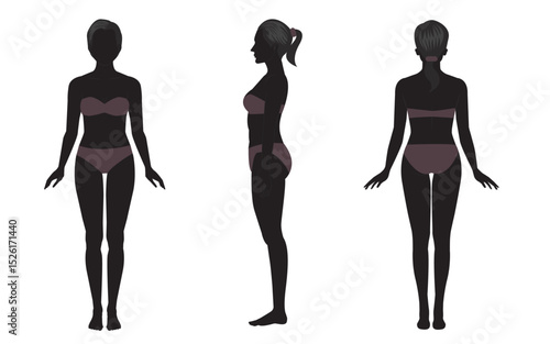 Si;lhouette of  woman body anatomy, front, back, side view, vector  illustration