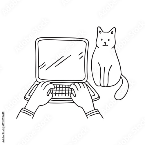 Hands typing with a nearby cat on the desk
