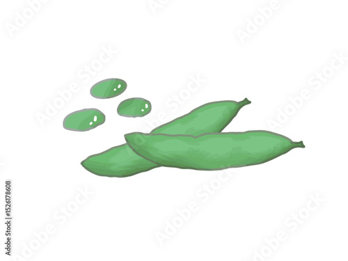 Illustration of soybeans with pods and soy beans