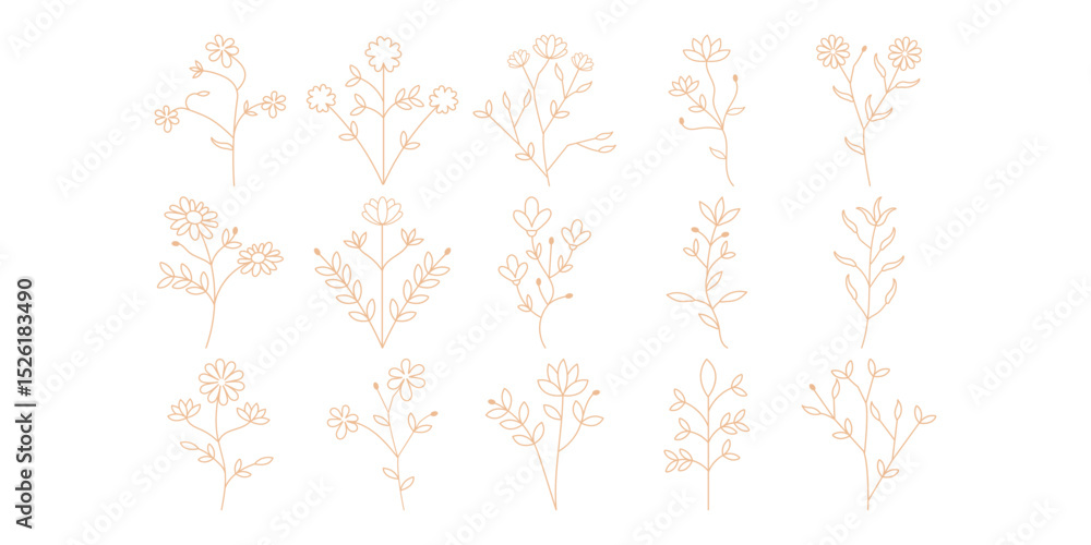 Obraz premium Rustic Flower Line