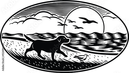 Black and white woodcut style illustration featuring a labrador dog on a beach with seagulls and a sunrise.