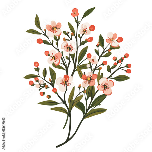 A Waxflower Bouquet illustration vector 2D flat, isolated on a white background.