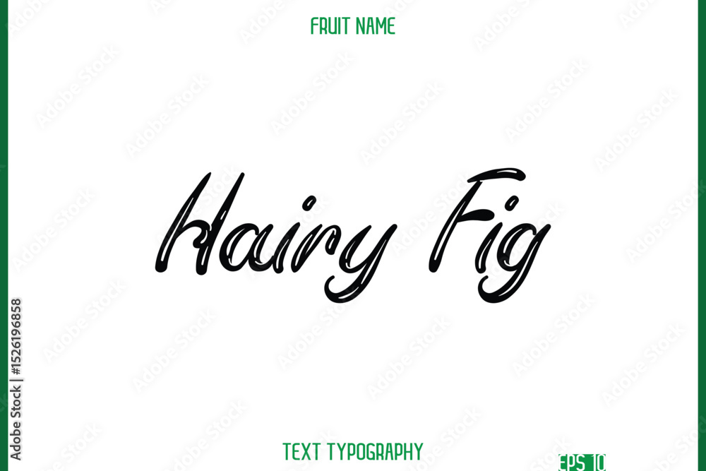 Fototapeta premium Hairy Fig -Fruit Name In Retro Style Cursive Text Typography Element