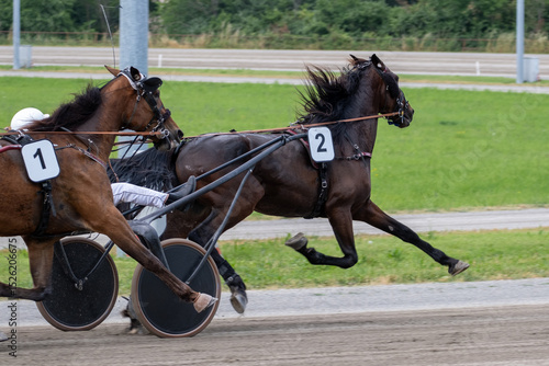 Modena, Italy – 05 18 2025: Racing horses trots and rider on a track of stadium. Competitions for trotting horse racing. Horses compete in harness racing. Horse runing at the track with rider.
