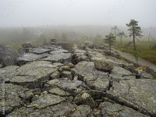 Large cracks in the rocks covered with lichens in the north and forest in the fog on the background. Rainy foggy day