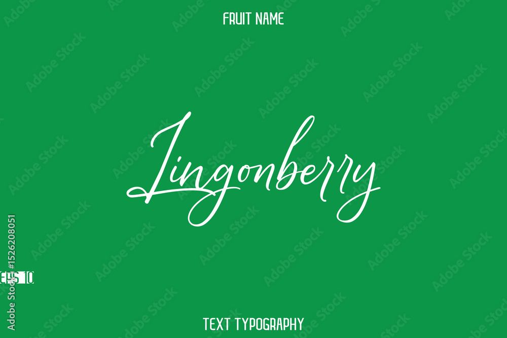 Lingonberry -Fruit Name In Stylish Cursive Typography Text Lettering Lingonberry -Fruit Name In Stylish Cursive Typography Text Lettering