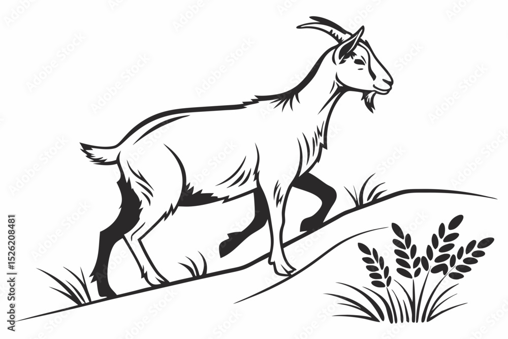 Fototapeta premium Black White Goat Illustration Rural Landscape Design