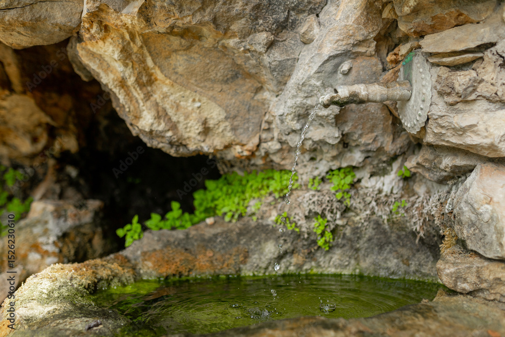 Side view of traditional outdoor spring shows steady drip from vintage pipe, forming clear ripples in green water, perfect wilderness hydration source